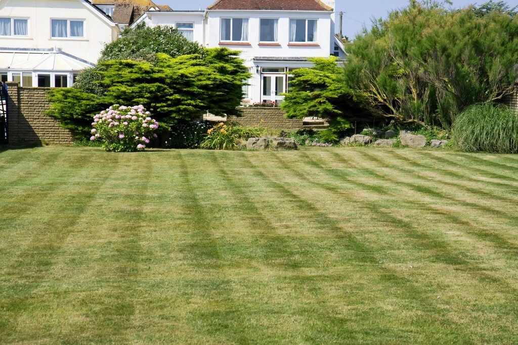 Landscaping in the Bay Area