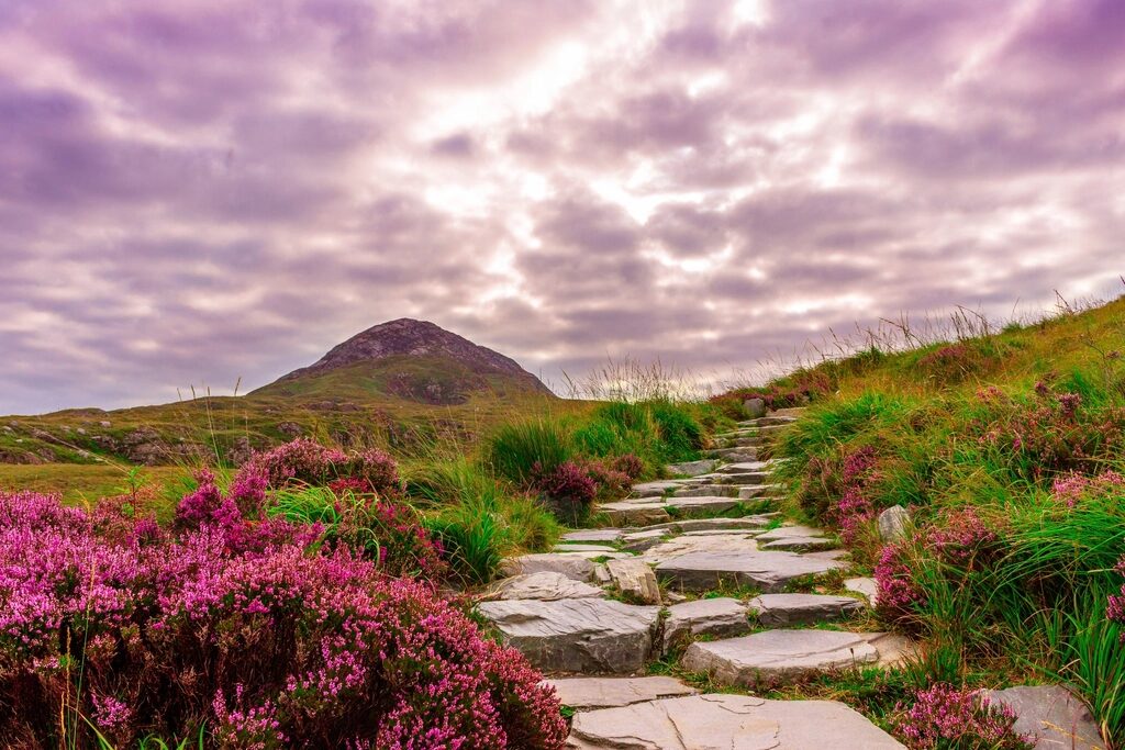 Natural Flagstone Path